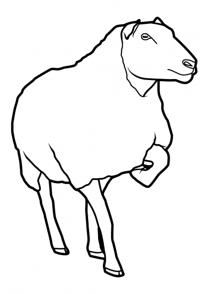 Dibujo para colorear: Oveja (Animales) #11460 - Dibujos para Colorear e Imprimir Gratis