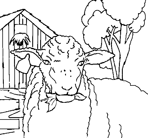 Dibujo para colorear: Oveja (Animales) #11479 - Dibujos para Colorear e Imprimir Gratis