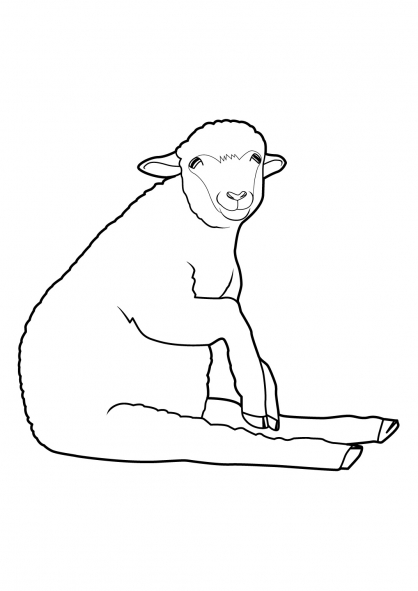 Dibujo para colorear: Oveja (Animales) #11492 - Dibujos para Colorear e Imprimir Gratis