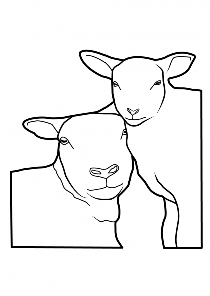 Dibujo para colorear: Oveja (Animales) #11514 - Dibujos para Colorear e Imprimir Gratis