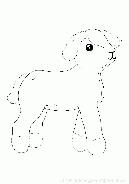 Dibujo para colorear: Oveja (Animales) #11518 - Dibujos para Colorear e Imprimir Gratis