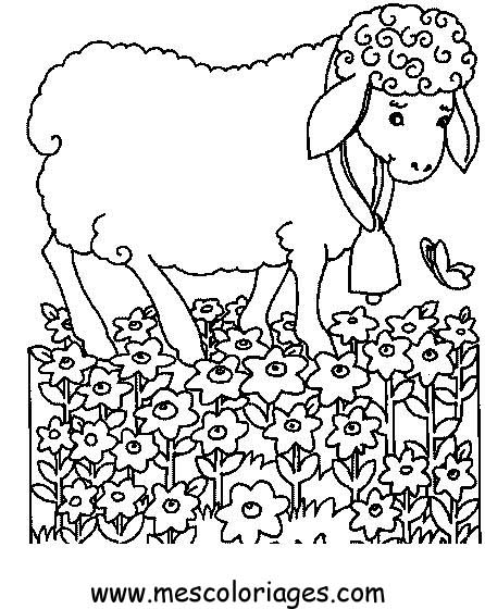 Dibujo para colorear: Oveja (Animales) #11533 - Dibujos para Colorear e Imprimir Gratis