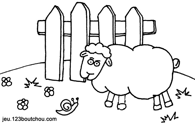 Dibujo para colorear: Oveja (Animales) #11539 - Dibujos para Colorear e Imprimir Gratis