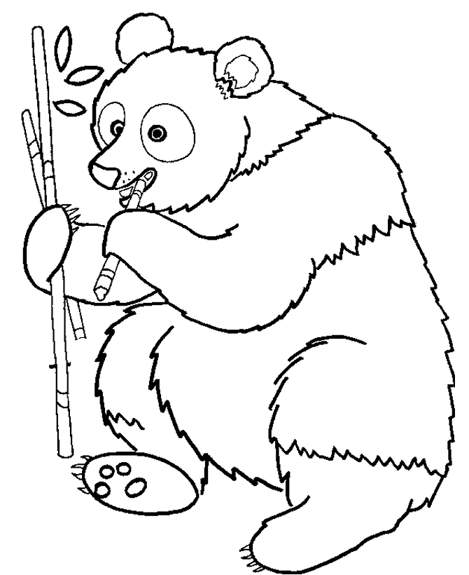 Dibujo para colorear: Panda (Animales) #12463 - Dibujos para Colorear e Imprimir Gratis