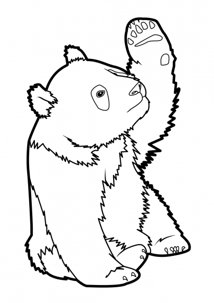 Dibujo para colorear: Panda (Animales) #12503 - Dibujos para Colorear e Imprimir Gratis