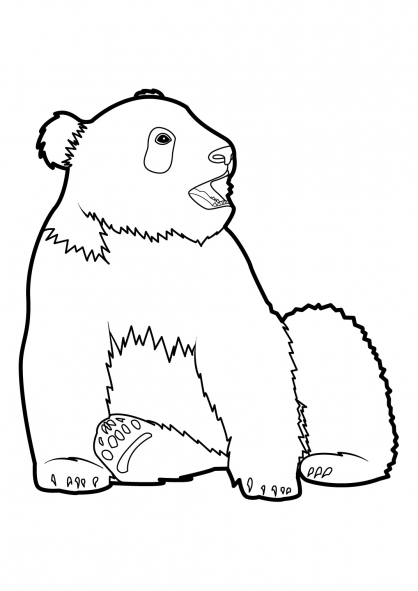 Dibujo para colorear: Panda (Animales) #12514 - Dibujos para Colorear e Imprimir Gratis