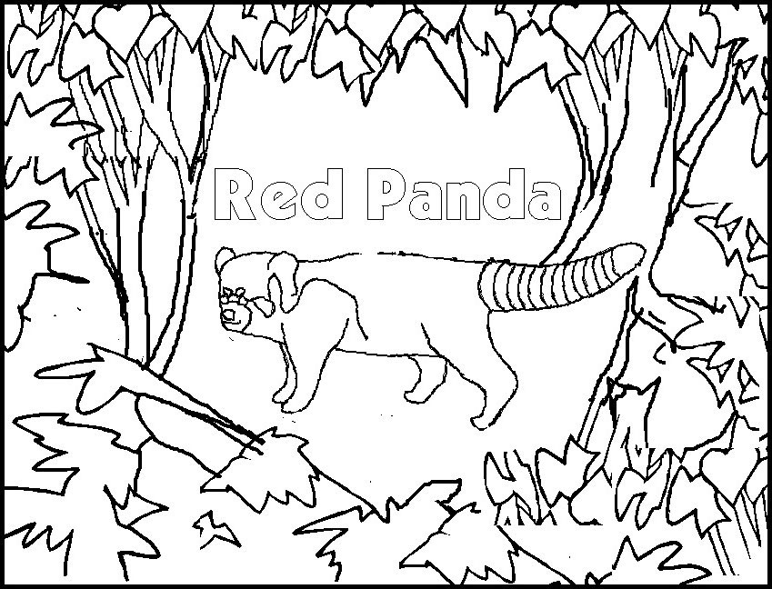 Dibujo para colorear: Panda (Animales) #12596 - Dibujos para Colorear e Imprimir Gratis