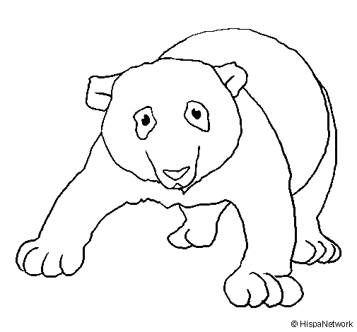 Dibujo para colorear: Panda (Animales) #12621 - Dibujos para Colorear e Imprimir Gratis