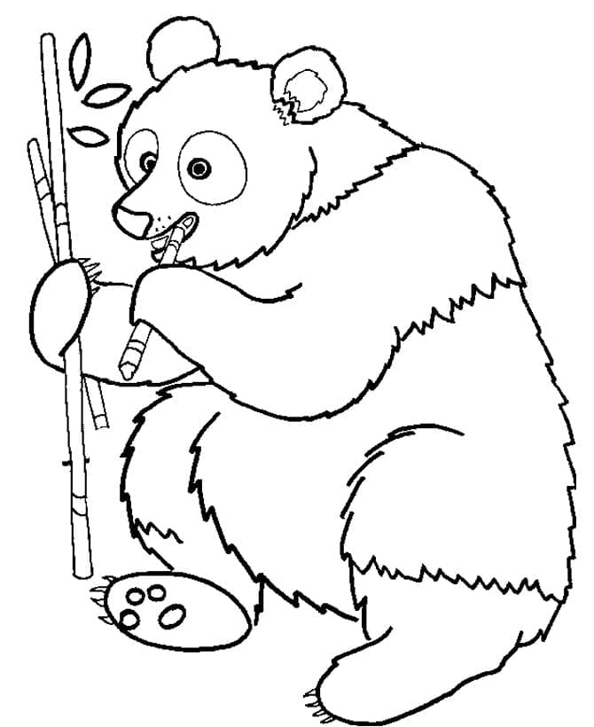 Dibujo gratuito Panda #175225 de la coleccion Animales para imprimir