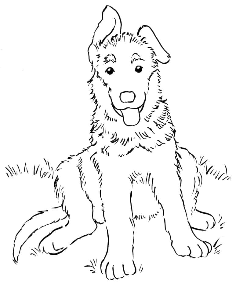 Dibujo gratuito Pastor Alemán #214069 de la coleccion Animales para imprimir