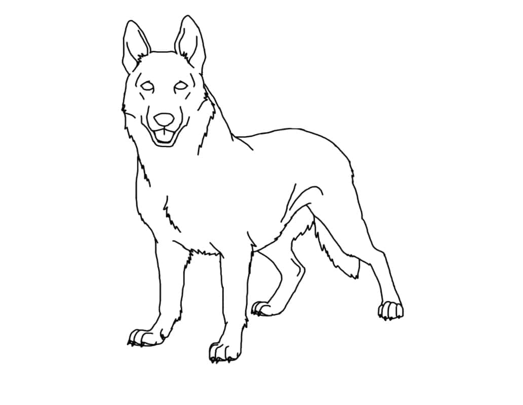 Dibujo gratuito Pastor Alemán #214084 de la coleccion Animales para imprimir Dibujo gratuito Pastor Alemán #214084 de la coleccion Animales para imprimir