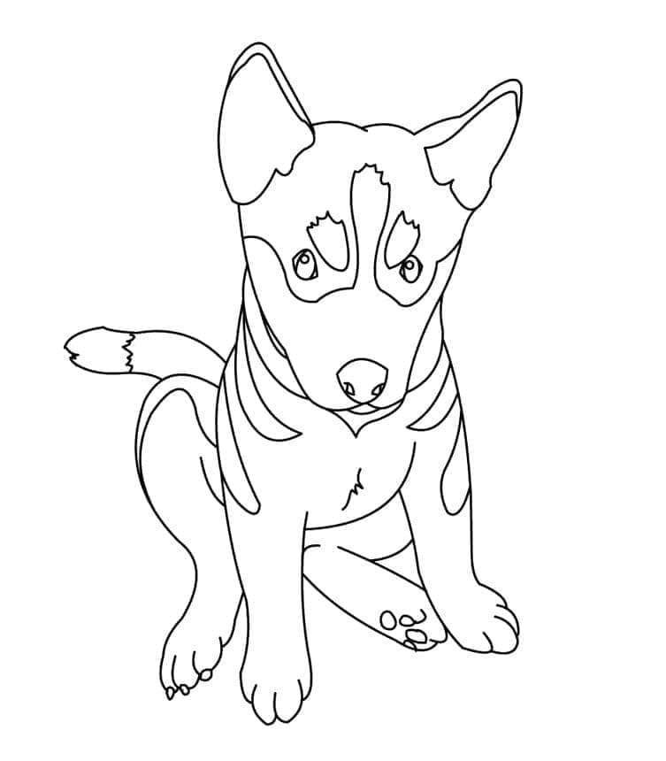 Dibujo gratuito Pastor Alemán #214097 de la coleccion Animales para imprimir