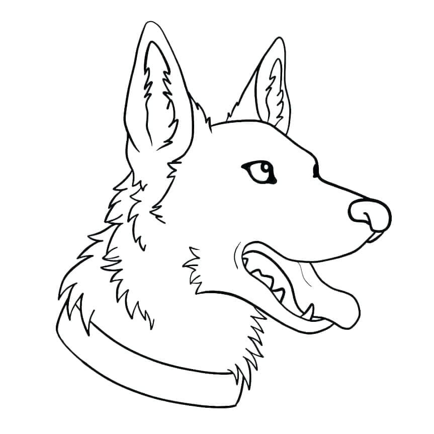 Dibujo gratuito Pastor Alemán #214098 de la coleccion Animales para imprimir Dibujo gratuito Pastor Alemán #214098 de la coleccion Animales para imprimir