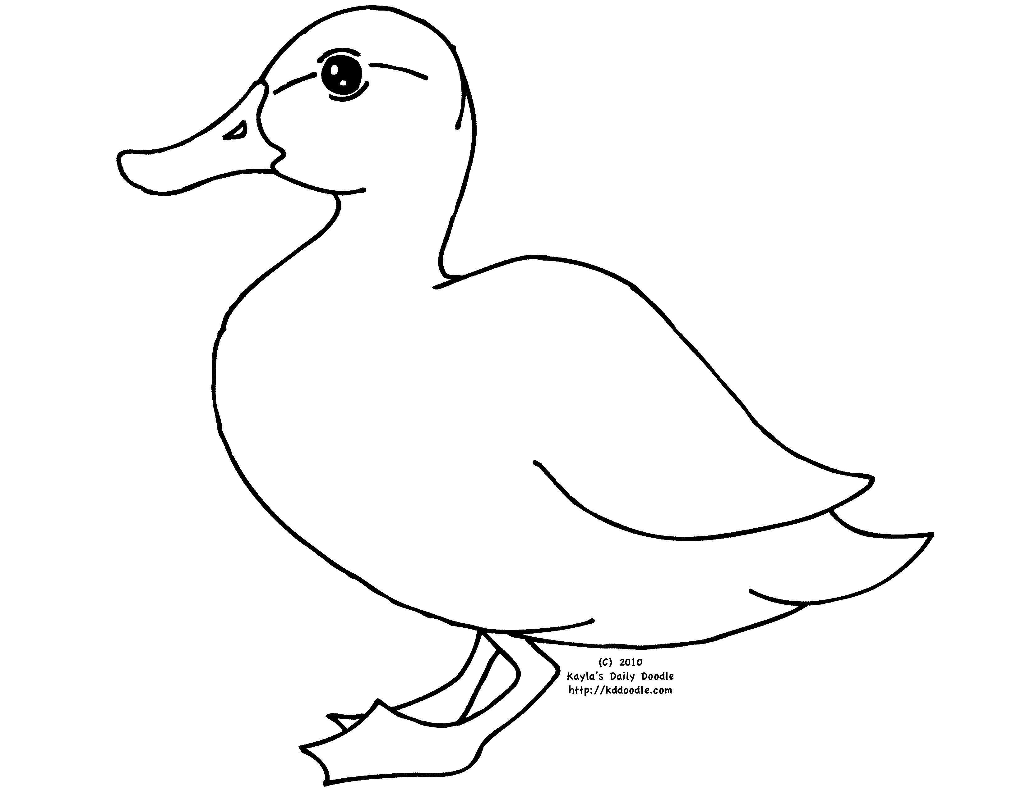 Dibujos de Pato (Animales) para colorear y pintar – Páginas para imprimir