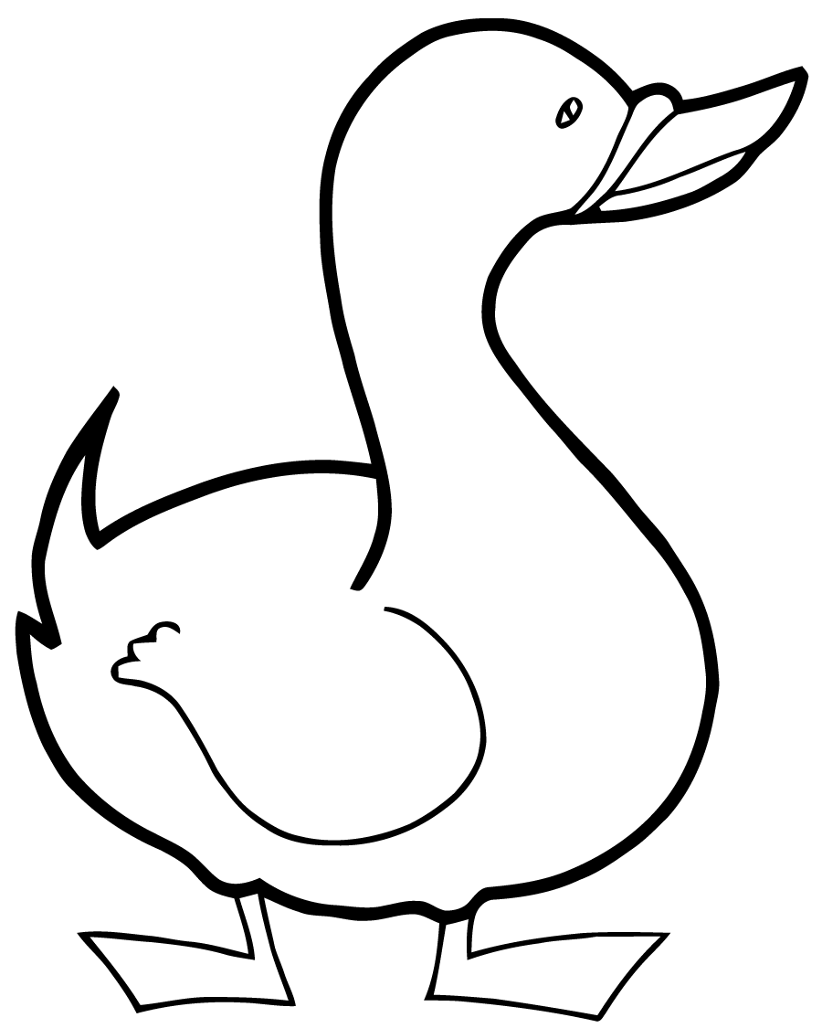 Dibujos De Pato Animales Para Colorear Y Pintar Page 2 Páginas