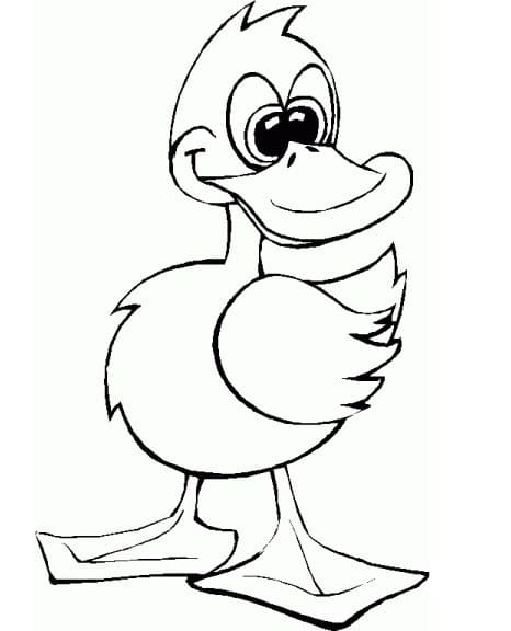 Dibujo gratuito Pato #185488 de la coleccion Animales para imprimir