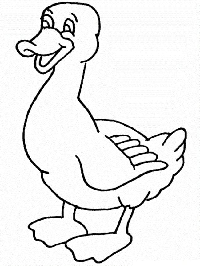 Dibujo gratuito Pato #185505 de la coleccion Animales para imprimir
