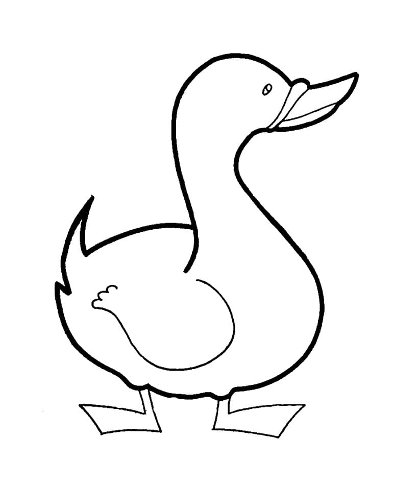 Dibujo gratuito Pato #185508 de la coleccion Animales para imprimir