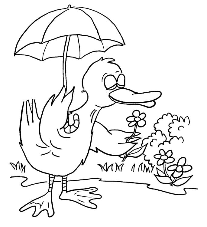 Dibujo gratuito Pato #185513 de la coleccion Animales para imprimir