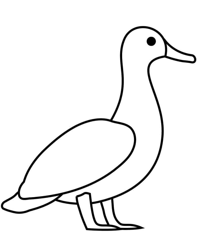 Dibujo gratuito Pato #185516 de la coleccion Animales para imprimir