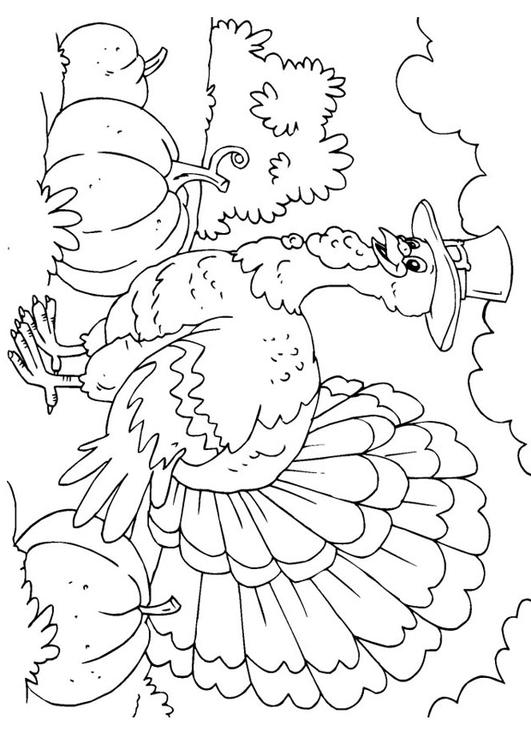 Dibujo para colorear: Pavo (Animales) #5341 - Dibujos para Colorear e Imprimir Gratis