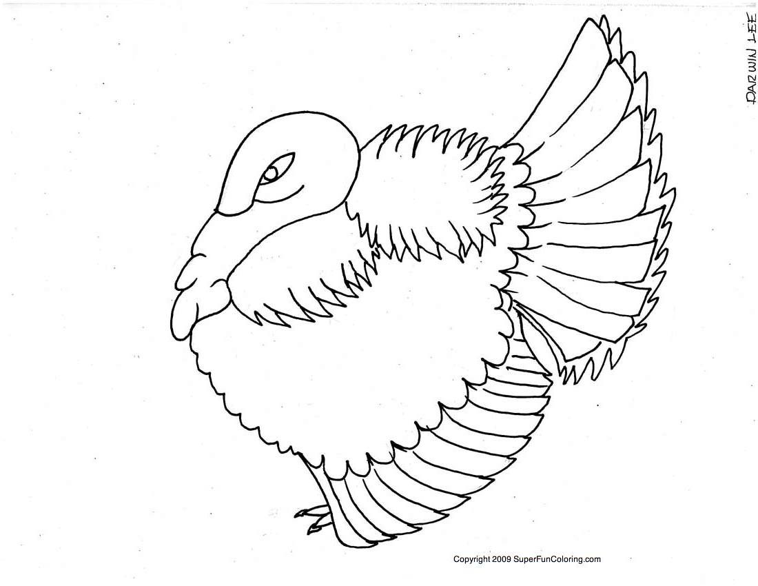 Dibujo para colorear: Pavo (Animales) #5353 - Dibujos para Colorear e Imprimir Gratis