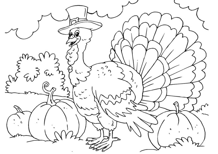 Dibujo para colorear: Pavo (Animales) #5399 - Dibujos para Colorear e Imprimir Gratis