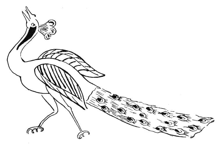 Dibujo gratuito Pavo Real #197583 de la coleccion Animales para imprimir