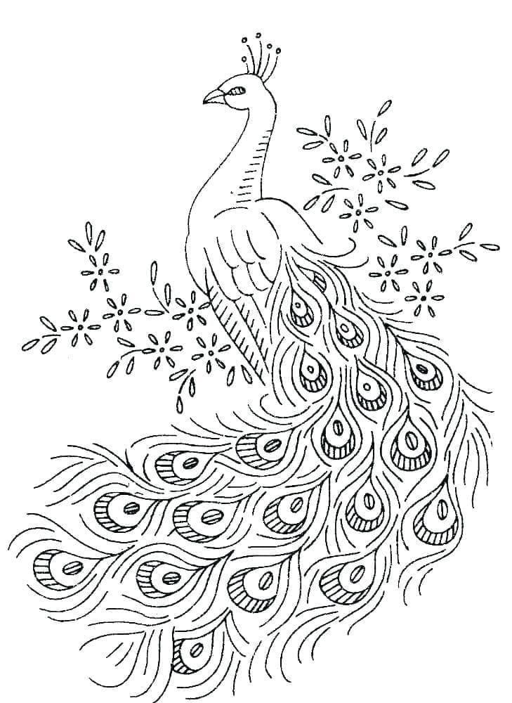 Dibujo gratuito Pavo Real #197601 de la coleccion Animales para imprimir