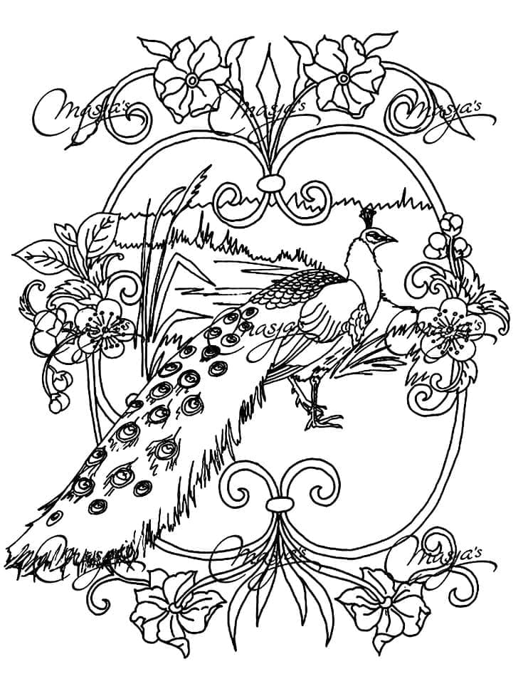 Dibujo gratuito Pavo Real #197617 de la coleccion Animales para imprimir