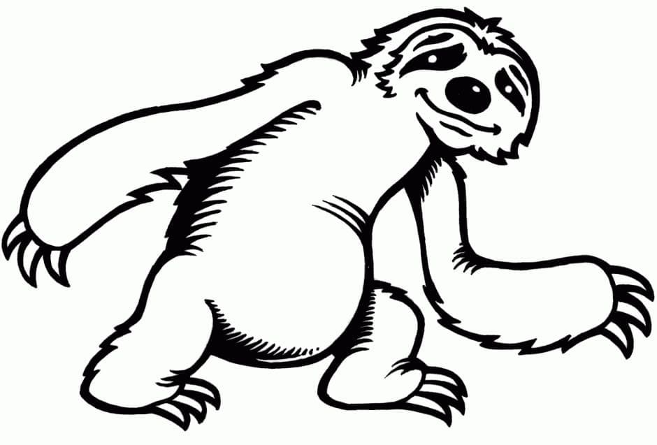 Dibujo gratuito Perezoso #210415 de la coleccion Animales para imprimir