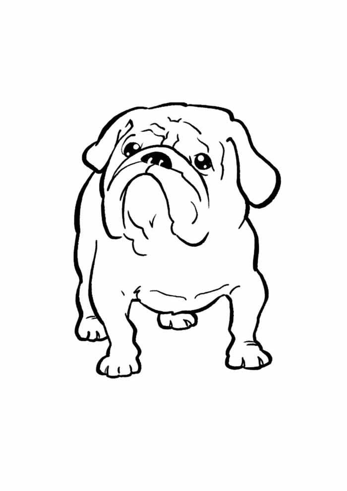 Dibujo gratuito Perro #182815 de la coleccion Animales para imprimir