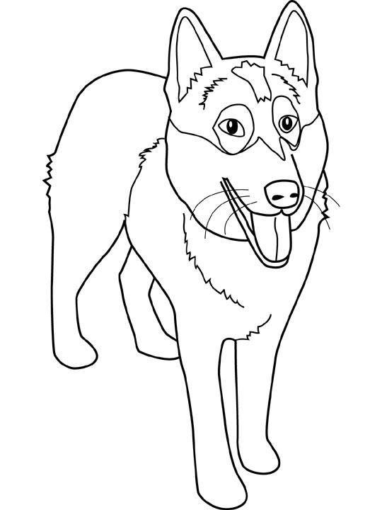 Dibujo para colorear: Perro (Animales) #3095 - Dibujos para Colorear e Imprimir Gratis
