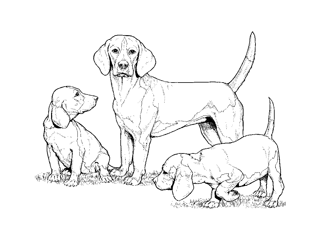 Dibujo para colorear: Perro (Animales) #3111 - Dibujos para Colorear e Imprimir Gratis