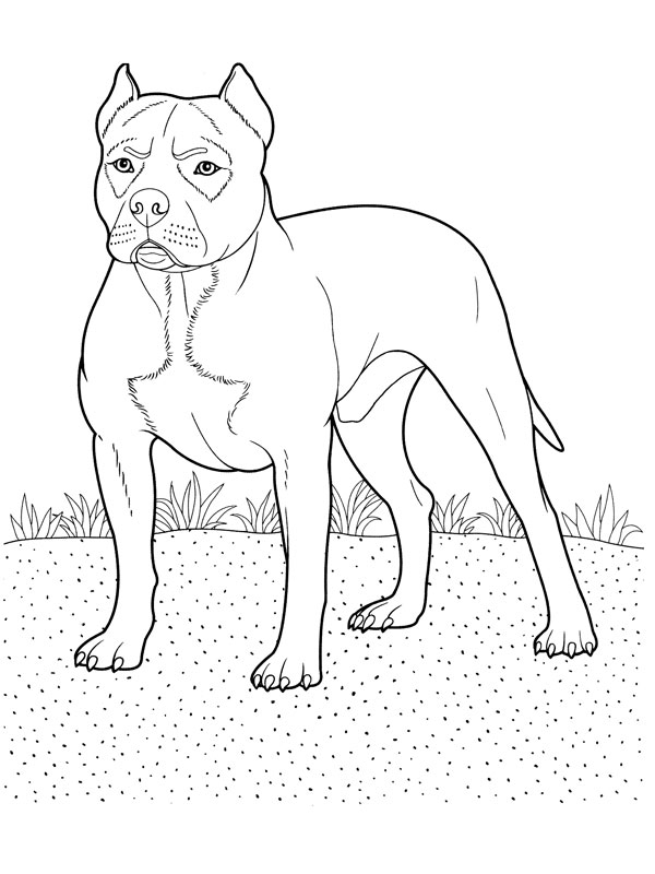 Dibujo para colorear: Perro (Animales) #3138 - Dibujos para Colorear e Imprimir Gratis