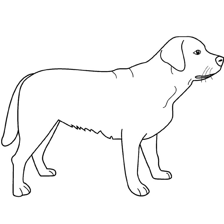 Dibujo para colorear: Perro (Animales) #3139 - Dibujos para Colorear e Imprimir Gratis