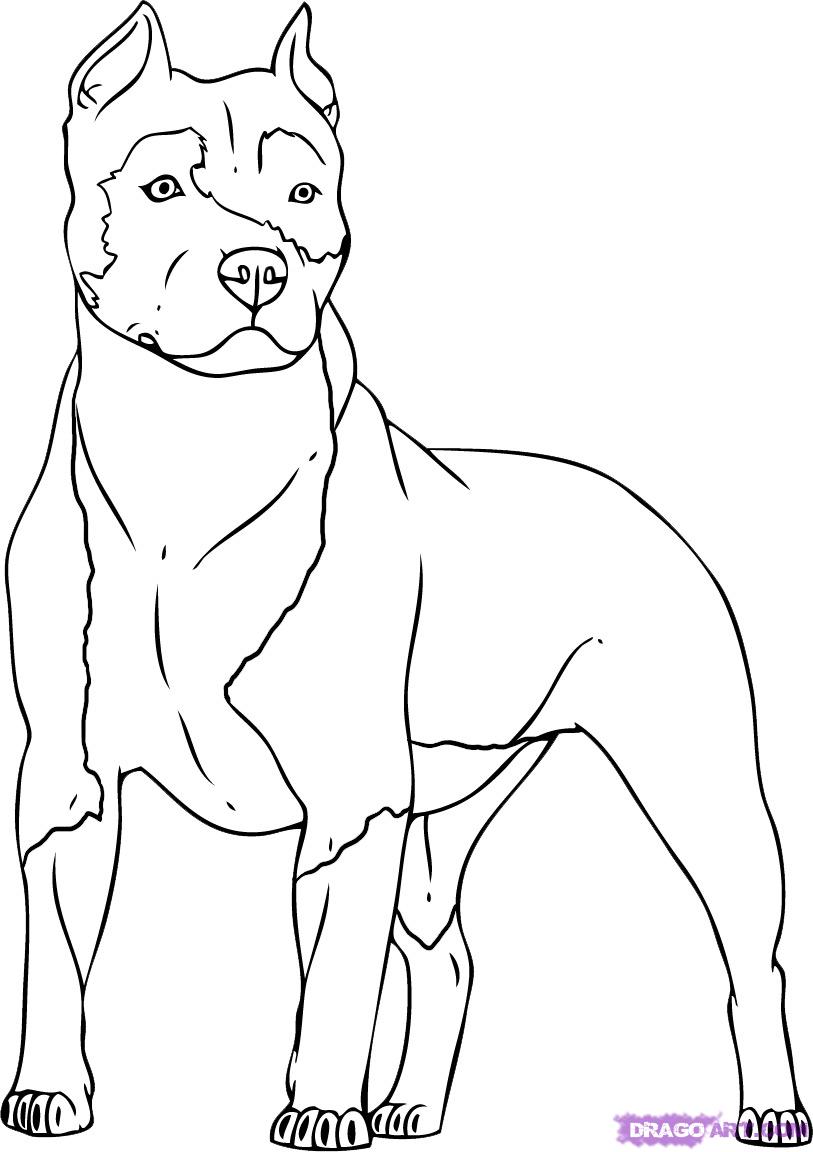 Dibujo para colorear: Perro (Animales) #3149 - Dibujos para Colorear e Imprimir Gratis
