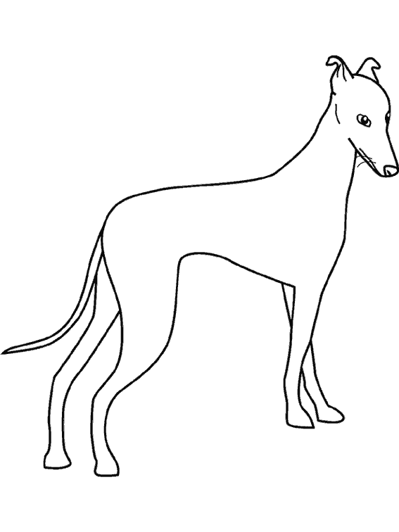 Dibujo para colorear: Perro (Animales) #3156 - Dibujos para Colorear e Imprimir Gratis