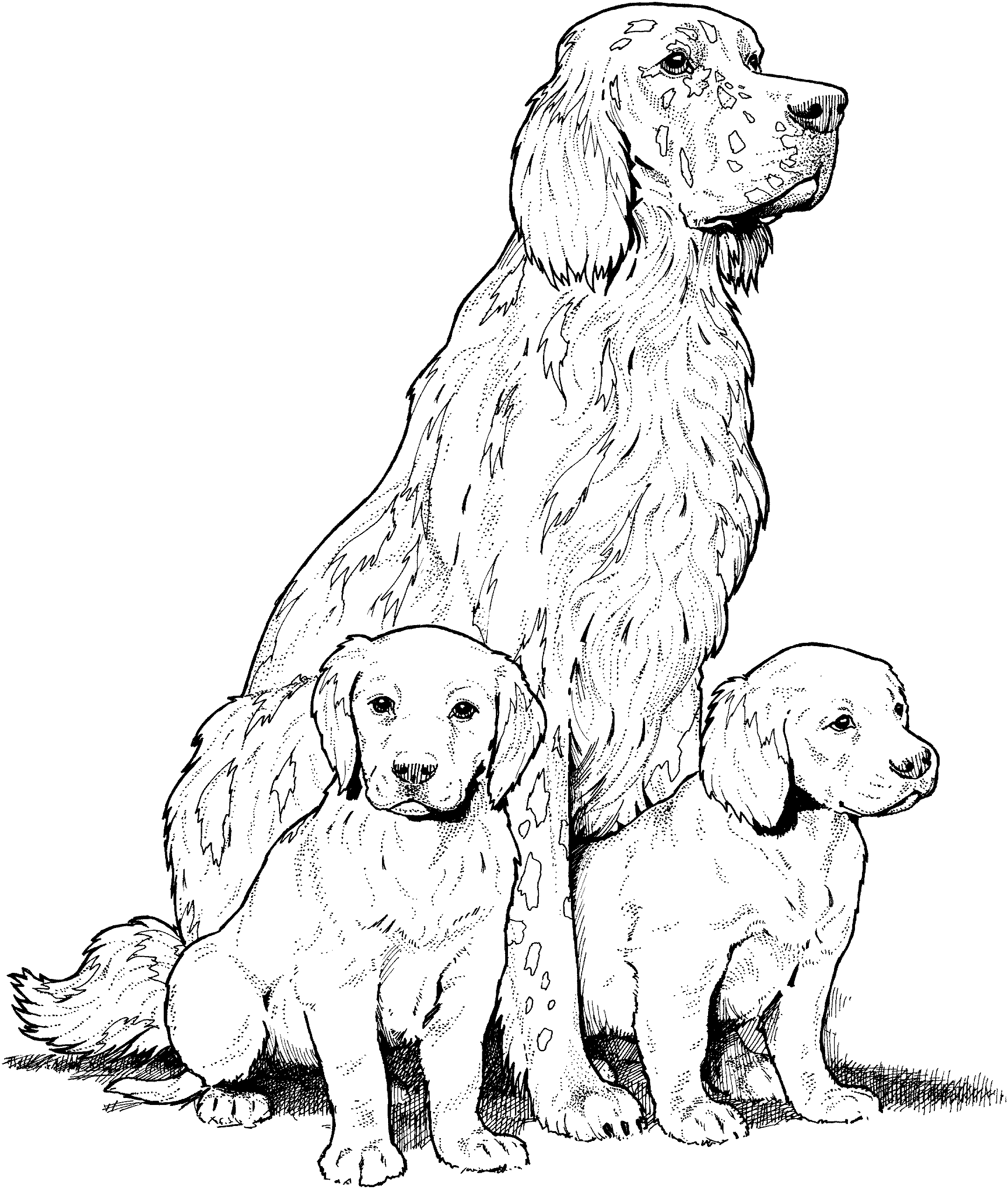 Dibujo para colorear: Perro (Animales) #3167 - Dibujos para Colorear e Imprimir Gratis