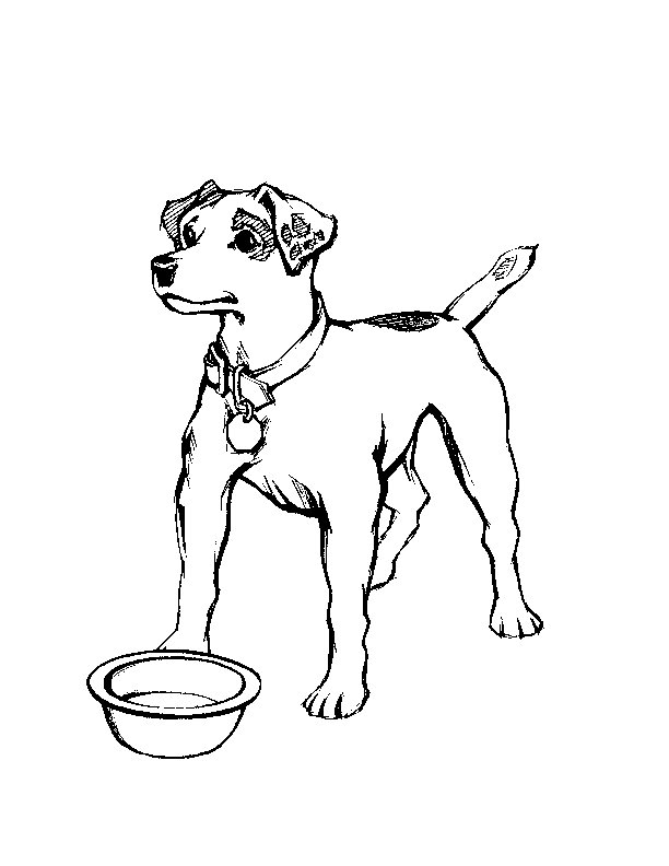 Dibujo para colorear: Perro (Animales) #3169 - Dibujos para Colorear e Imprimir Gratis