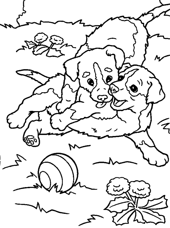 Dibujo para colorear: Perro (Animales) #3174 - Dibujos para Colorear e Imprimir Gratis