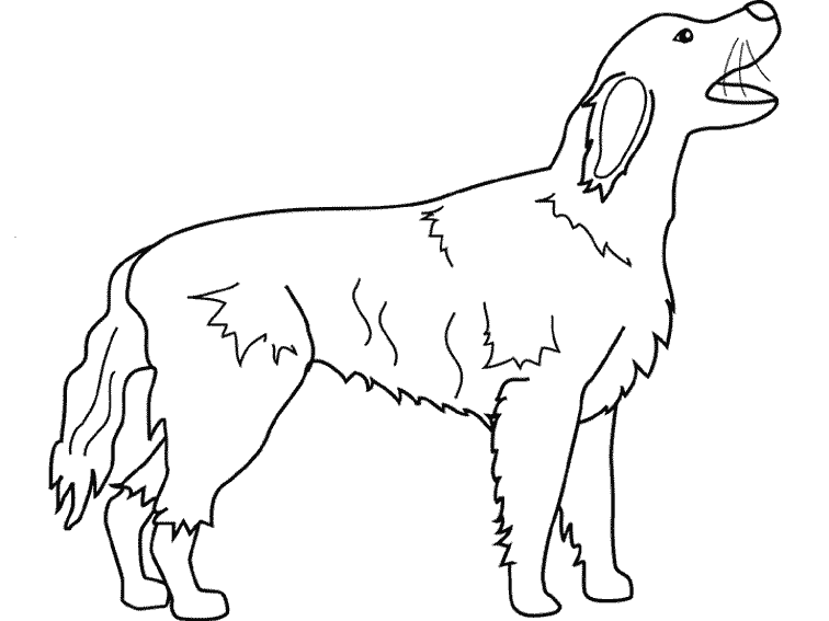 Dibujo para colorear: Perro (Animales) #3179 - Dibujos para Colorear e Imprimir Gratis