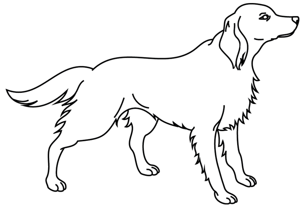 Dibujo para colorear: Perro (Animales) #3190 - Dibujos para Colorear e Imprimir Gratis