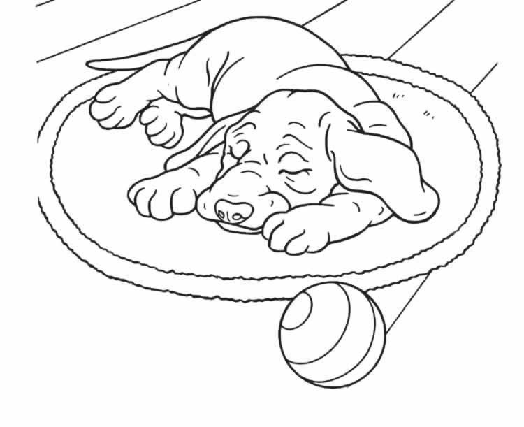Dibujo para colorear: Perro (Animales) #51 - Dibujos para Colorear e Imprimir Gratis