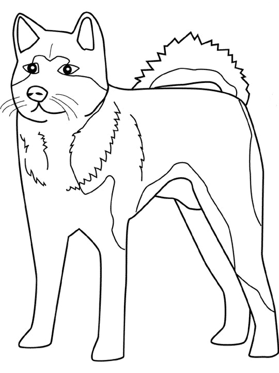 Dibujo para colorear: Perro (Animales) #62 - Dibujos para Colorear e Imprimir Gratis