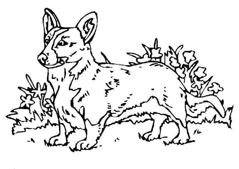 Dibujo para colorear: Perro (Animales) #73 - Dibujos para Colorear e Imprimir Gratis