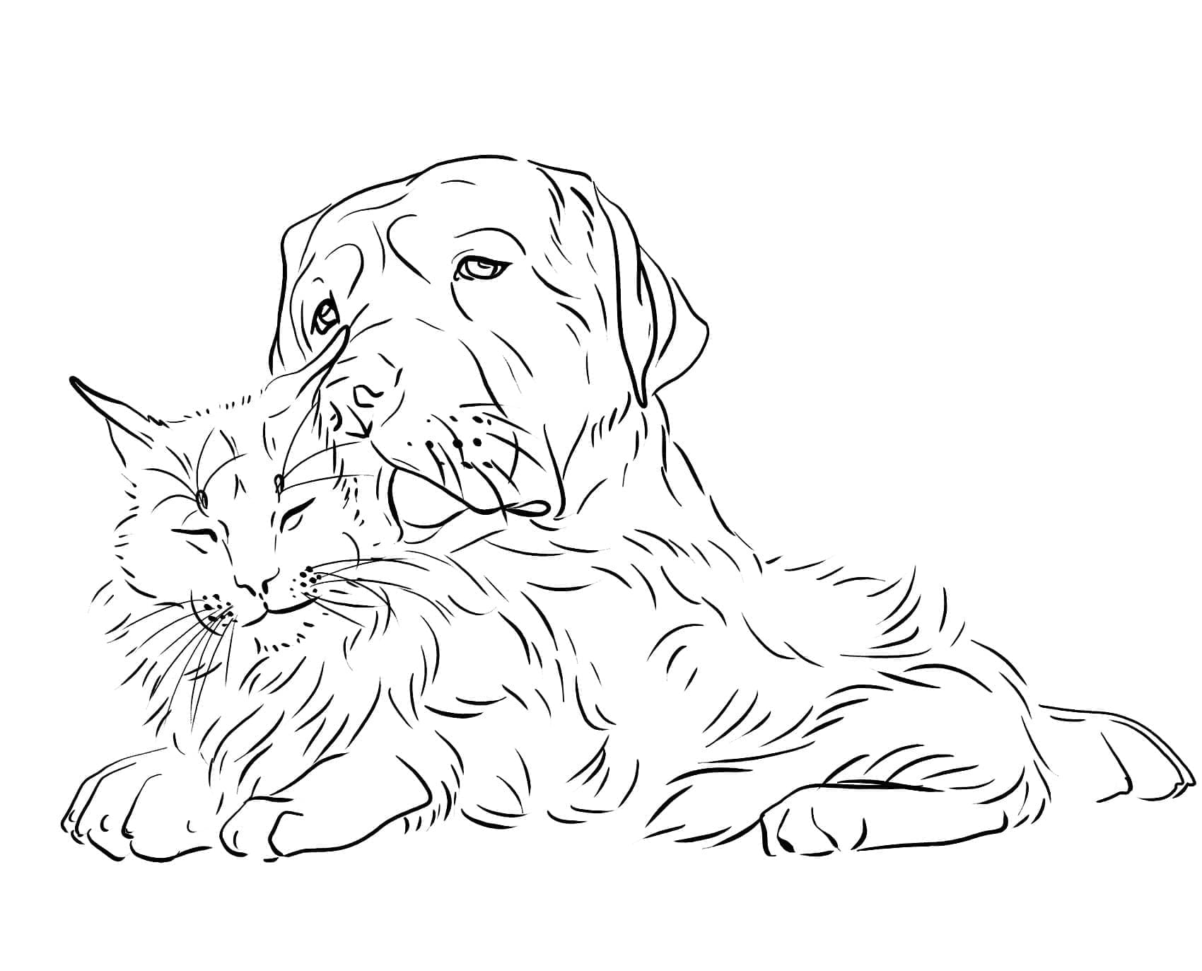 Dibujo gratuito Perro y Gato #211042 de la coleccion Animales para imprimir