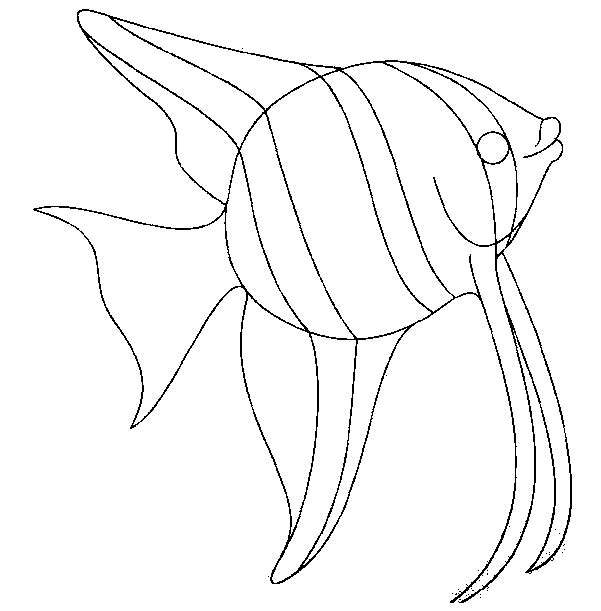 Dibujo para colorear: Pescado (Animales) #17143 - Dibujos para Colorear e Imprimir Gratis