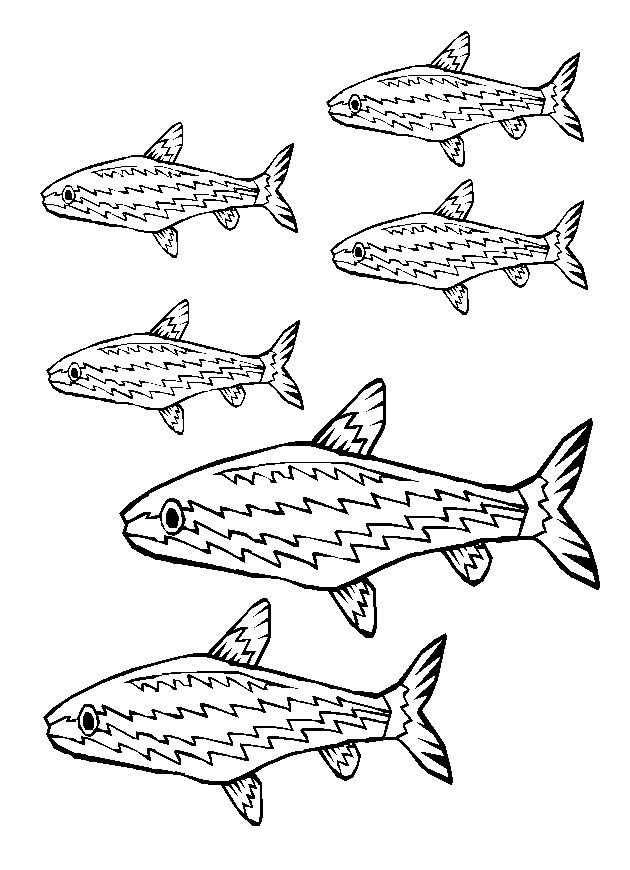 Dibujo para colorear: Pescado (Animales) #17179 - Dibujos para Colorear e Imprimir Gratis