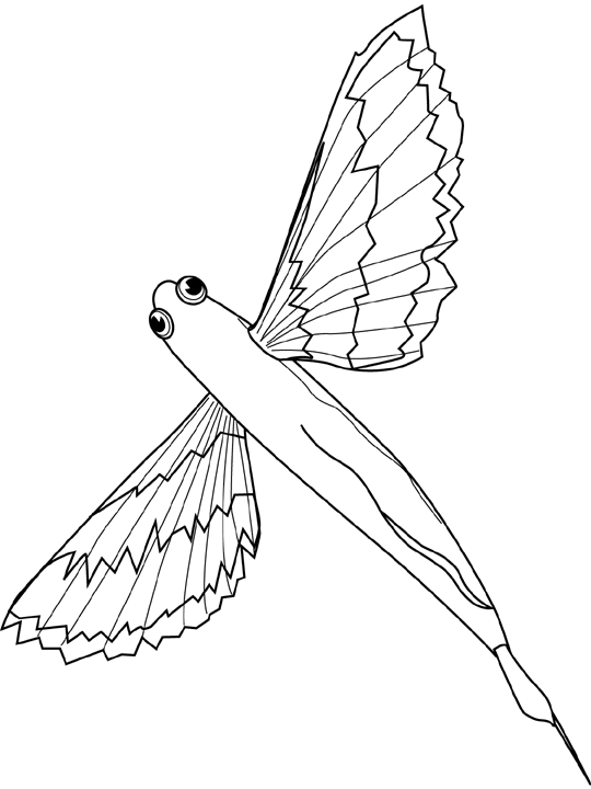 Dibujo gratuito Pez #17146 de la coleccion Animales para imprimir